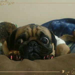 Meet your Posher, Derek